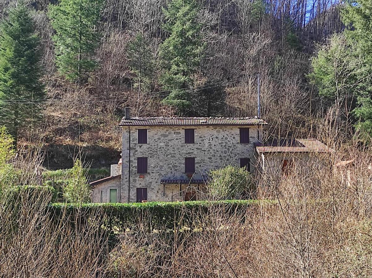 Casa Vacanze Il Boscaccio "Casa Massimo" Fornovolasco Ngoại thất bức ảnh